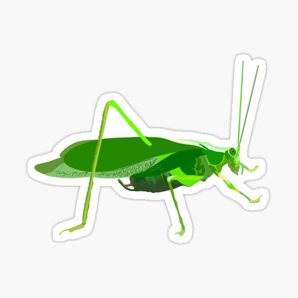 Item preview, K is for Katydid  designed and sold by thezoogirl.