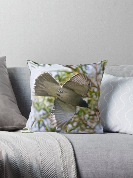 CUCKOOSHRIKE ~ Black-faced Cuckooshrike 7BAXLY5S by David Irwin Throw Pillow