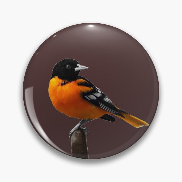 Artikelvorschau, Männlicher Baltimore Oriole entworfen und verkauft von cherylorraine.