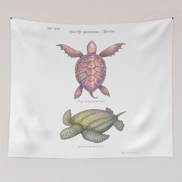 Item preview, Sea life specimens - Turtles designed and sold by Cabinet Of Curiosities by Vlad.