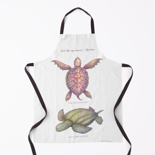Item preview, Sea life specimens - Turtles designed and sold by Cabinet Of Curiosities by Vlad.