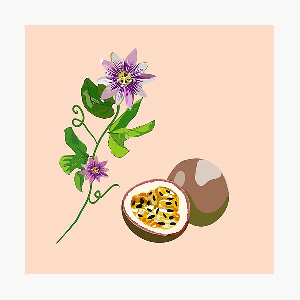 Item preview, Passiflora designed and sold by smoochugs.