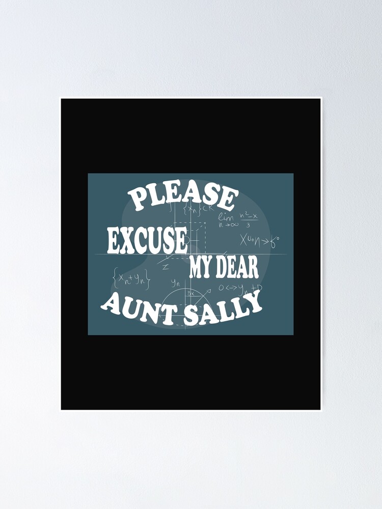 please-excuse-my-dear-aunt-sally-poster-by-chy31-redbubble