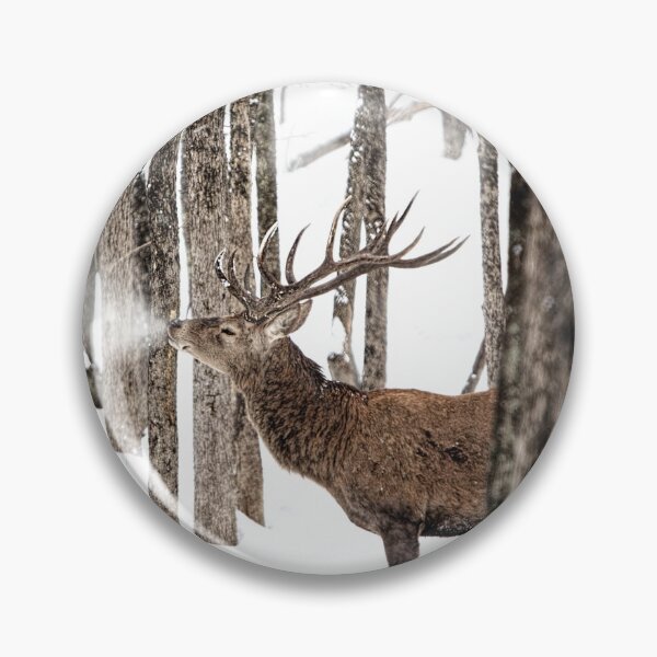 Item preview, Red deer in the Wild designed and sold by david parry.