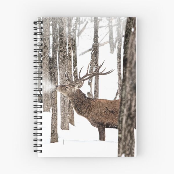 Item preview, Red deer in the Wild designed and sold by david parry.
