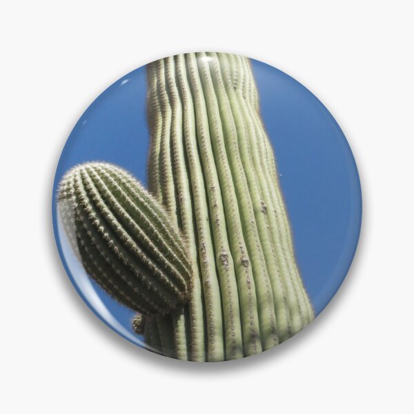 Item preview, Outdoor Garden Photography with Cactus Landscaping Scenery designed and sold by Archer25.