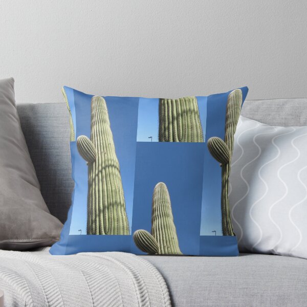 Item preview, Fotografía de jardín al aire libre con paisaje de paisajismo de cactus designed and sold by Archer25.