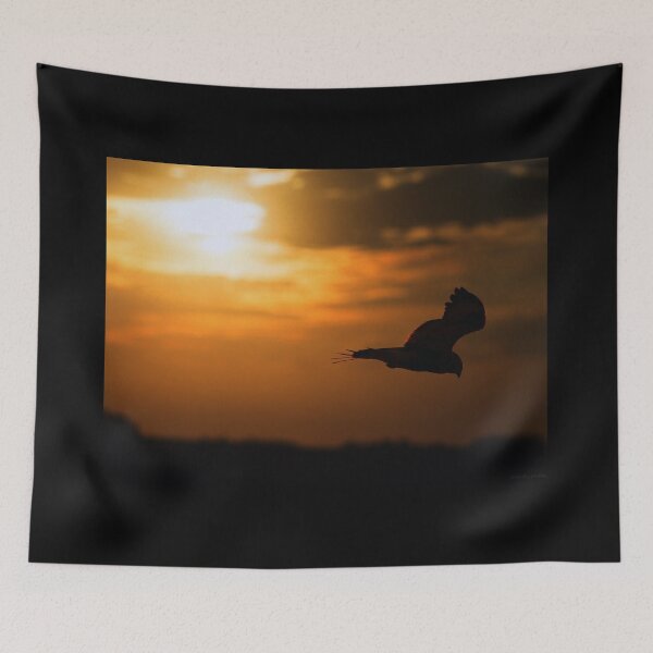 Item preview, Gold Hawk Sunset designed and sold by Kerri Ann McClellan.