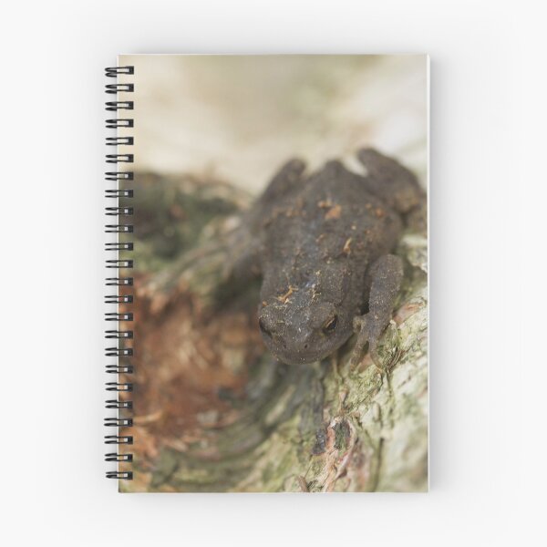 Item preview, Toad Hole designed and sold by Matt Hurrell.