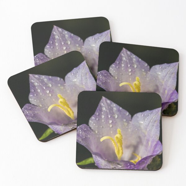 Item preview, Bellflower 1 designed and sold by Robert Alsop.