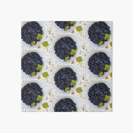 Grapes in a Bucket by Adelaide Artist Avril Thomas at Magpie Springs Art Board Print