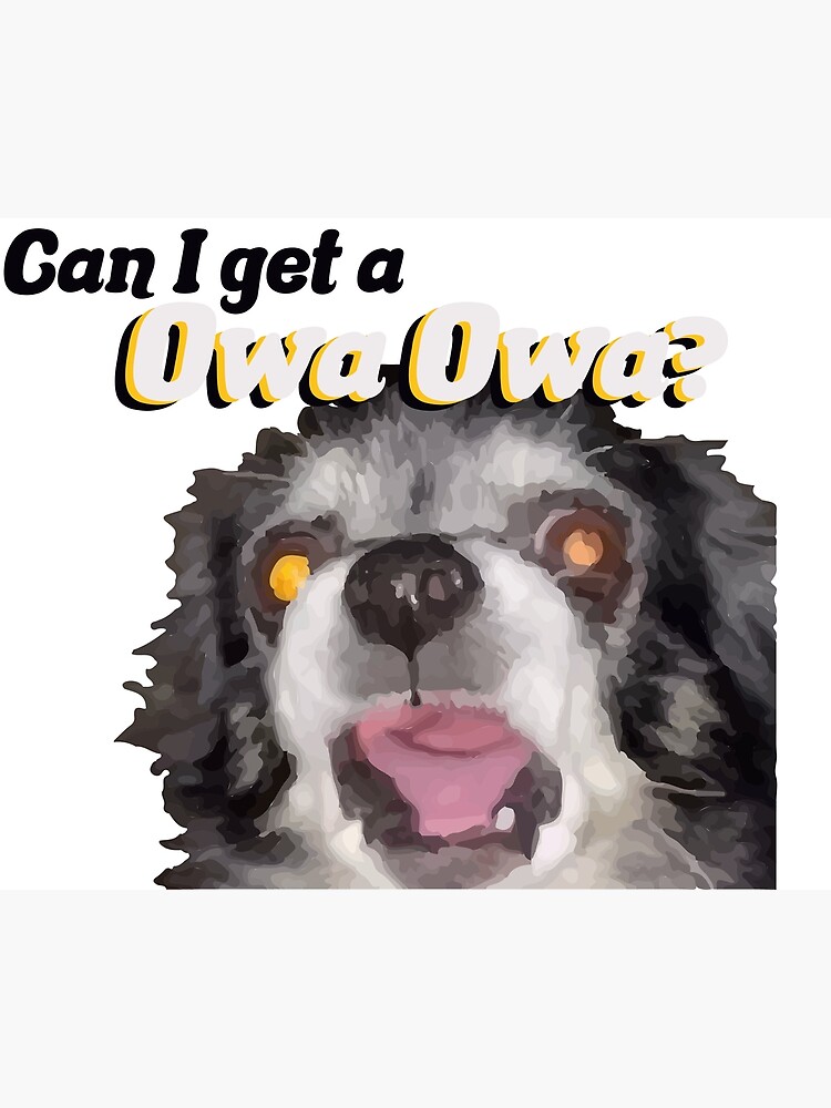 "Owa Owa Dog Meme TikTok" Poster for Sale by Iampigzilla Redbubble