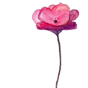 Artwork thumbnail, Delicate Flower by Raphael-art