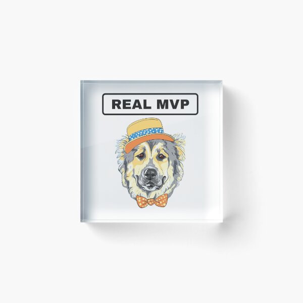 Artikelvorschau, Hunde, der echte MVP entworfen und verkauft von dogcuddleralert.