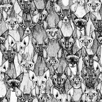 Artwork thumbnail, just sphynx cats black white by scrummy