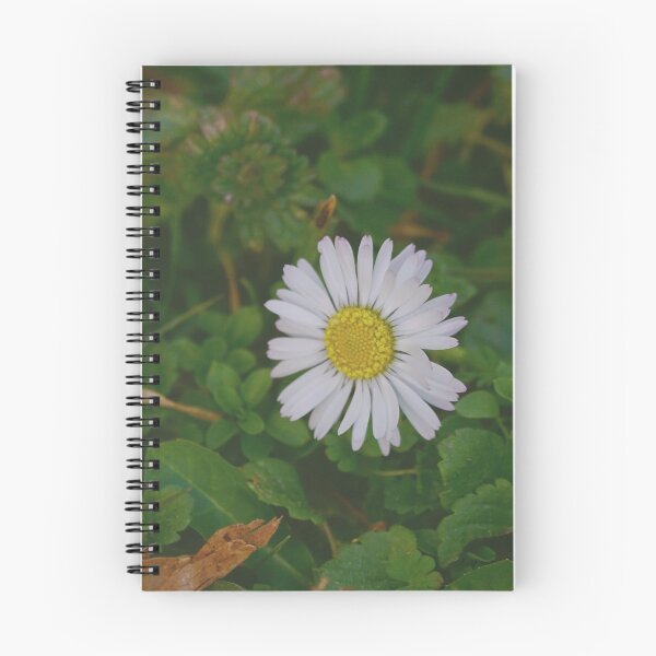 Item preview, Single Daisy Flower on Grass  designed and sold by CarolinaReina.