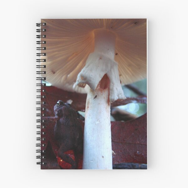 Item preview, 'Neath The Mushroom designed and sold by Jean Gregory Evans.