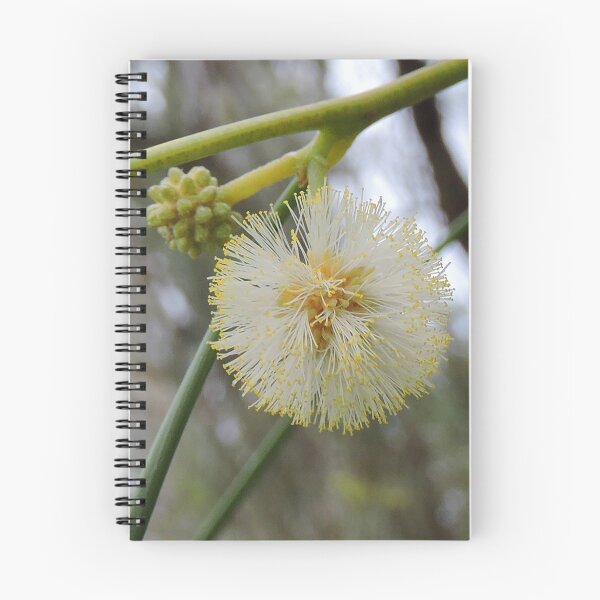 Artikelvorschau, Wattle entworfen und verkauft von DiDee74.