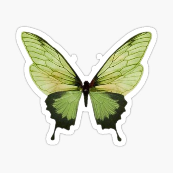 Claire's Y2K Butterfly Pin Set | 2 Pack