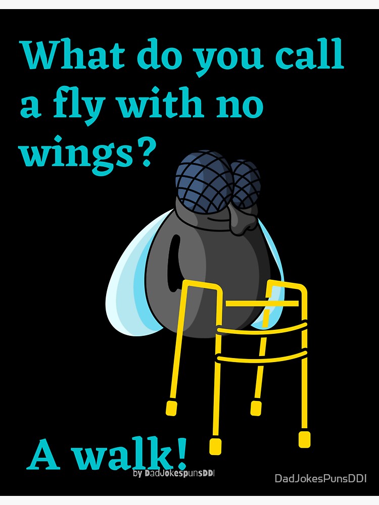 "Dumb Dad Jokes to roll your eyes at What do you call a fly with no