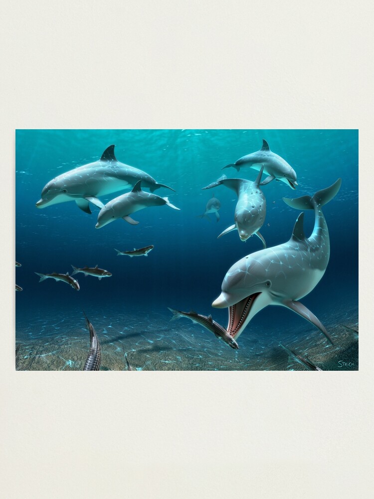 Dolphins Flight | Photographic Print