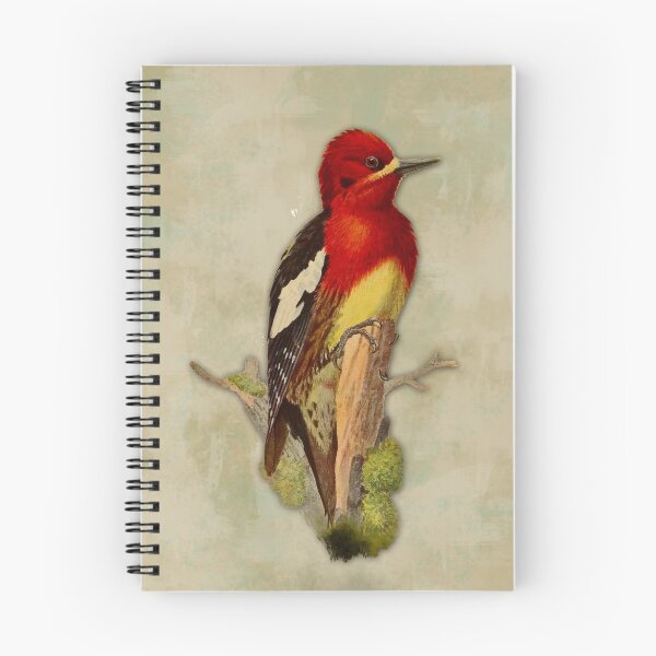 Item preview, Red Breasted Sapsucker designed and sold by MySideGig.
