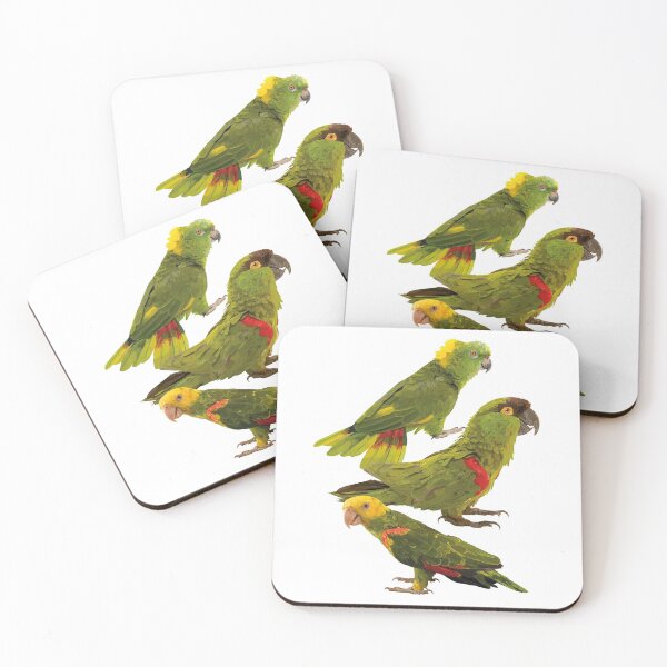 Item preview, Parrots and mountain parakeet designed and sold by obscurite.