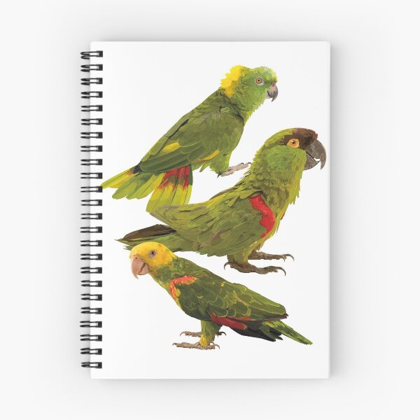 Item preview, Parrots and mountain parakeet designed and sold by obscurite.