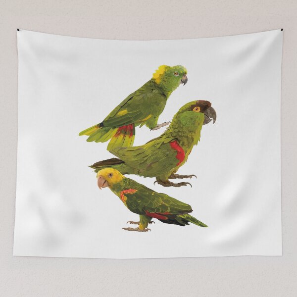 Item preview, Parrots and mountain parakeet designed and sold by obscurite.