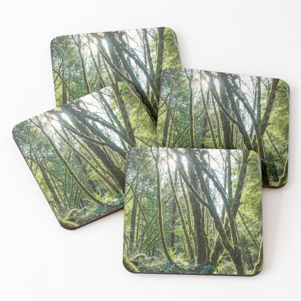 Item preview, Golden hour in a green forest designed and sold by jillianbutolphphoto.
