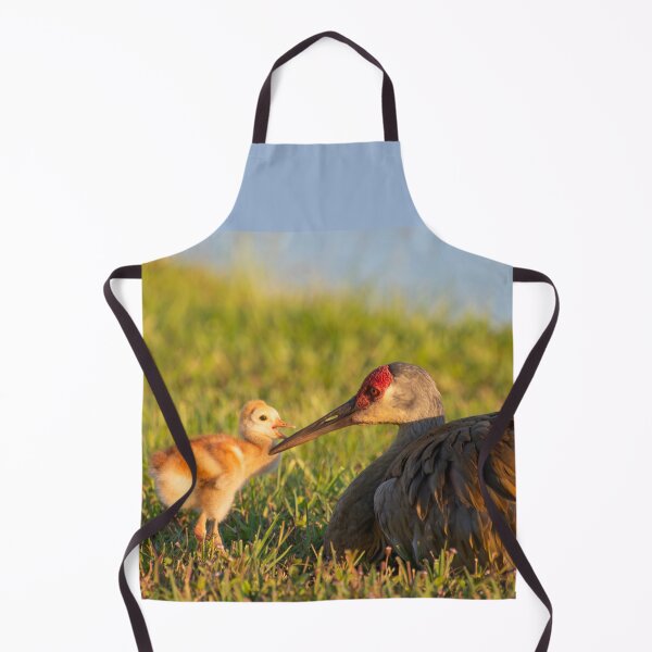 Item preview, A tender peck on its mothers beak  designed and sold by Zina Stromberg.