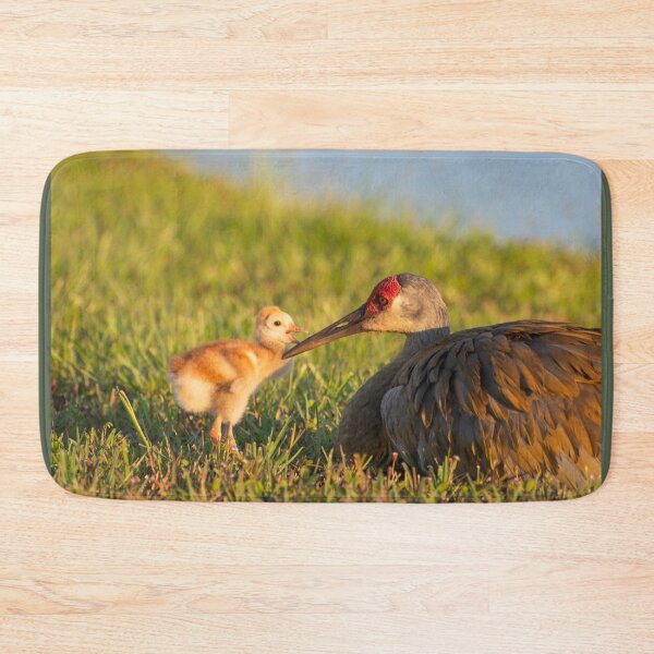 Item preview, A tender peck on its mothers beak  designed and sold by Zina Stromberg.
