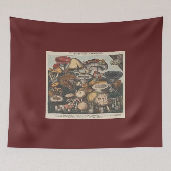 Item preview, Vintage Edible Mushroom Collection c:1827-1828 designed and sold by joyousEarth.