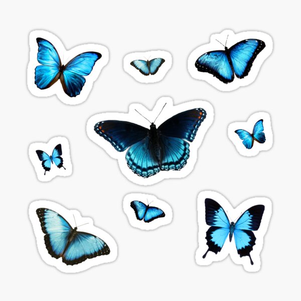 blue butterflies Sticker