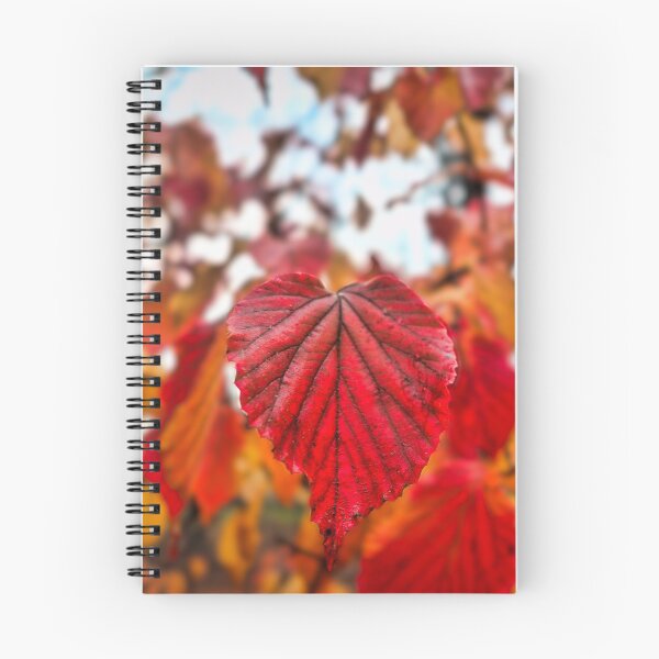 Item preview, Autumn Walk designed and sold by Maxx Kelley.