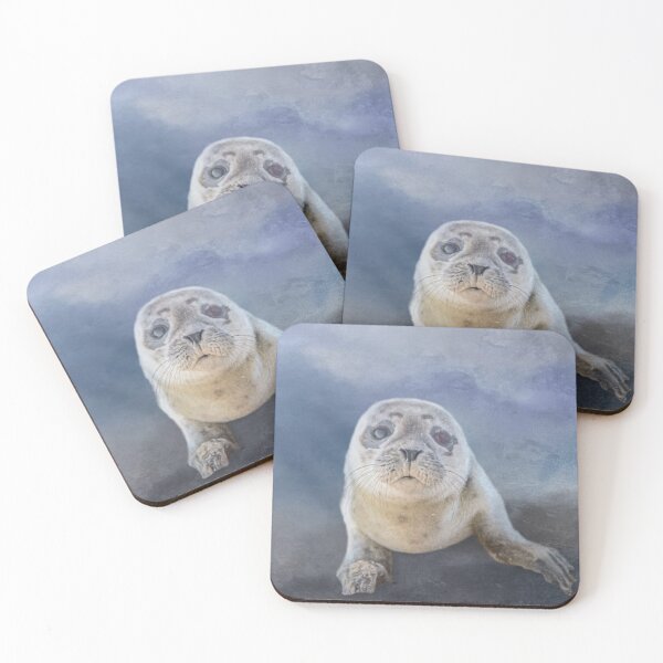 Artikelvorschau, Baby Seal Drei entworfen und verkauft von Elisabeth Lucas.