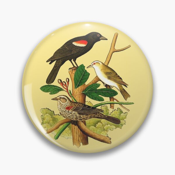 Item preview, Redwing Blackbird designed and sold by Santanu1990.