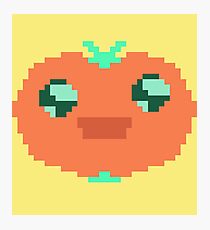Tomato Cute! Photographic Print