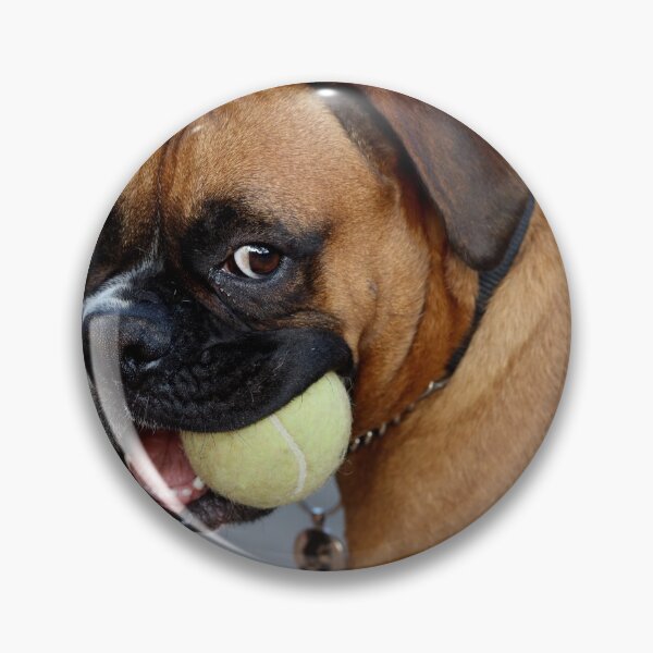Item preview, Dino and his favorite ball designed and sold by Evita.