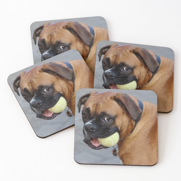 Item preview, Dino and his favorite ball designed and sold by Evita.