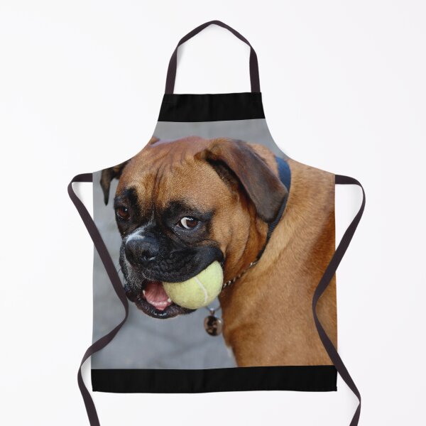 Item preview, Dino and his favorite ball designed and sold by Evita.