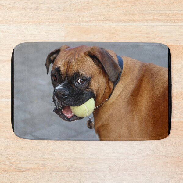 Item preview, Dino and his favorite ball designed and sold by Evita.