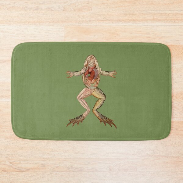 Item preview, Antique frog anatomy illustration designed and sold by monsterplanet.