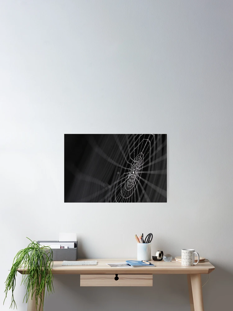 Imagen 2 de 3, Póster con la obra Web, diseñada y vendida por BlaizerB.