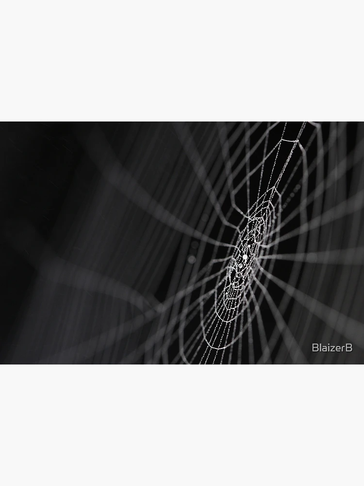 Imagen 3 de 3, Póster con la obra Web, diseñada y vendida por BlaizerB.