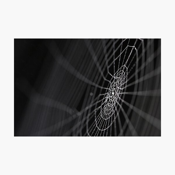 Item preview, Web designed and sold by BlaizerB.