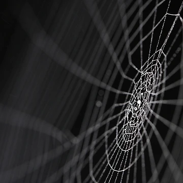 Imagen de la obra Web de BlaizerB
