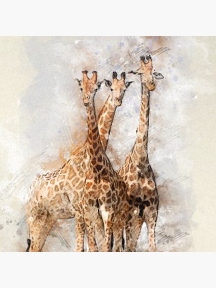 "Giraffe Giraffen Natur" Dekokissen von johnbryant5 | Redbubble
