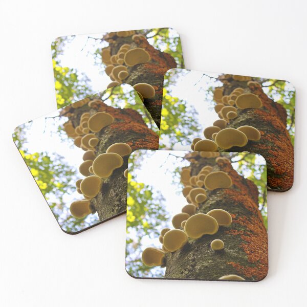 Item preview, Climbers designed and sold by Maxx Kelley.