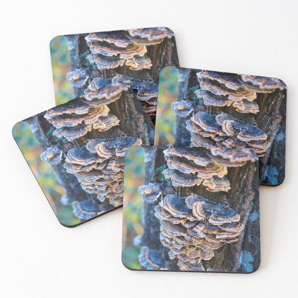 Item preview, Shelves designed and sold by Maxx Kelley.